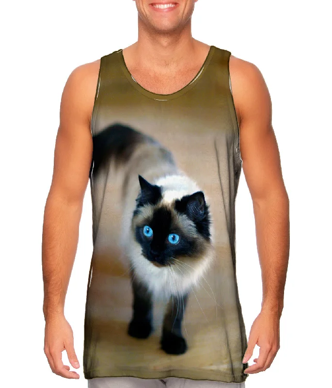 Plus Size Women's Glitter - Trimmed Tank Tops for Party NightsSpooked Kitty Cat